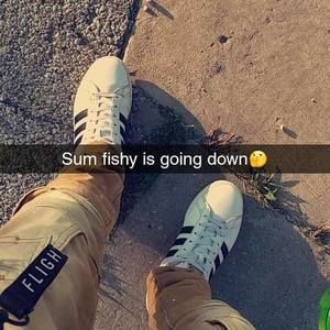 Meet your Posher, Marvin